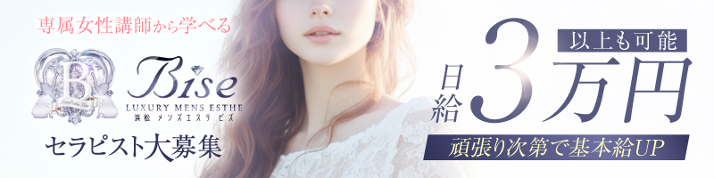 Bise(ビズ)の求人情報